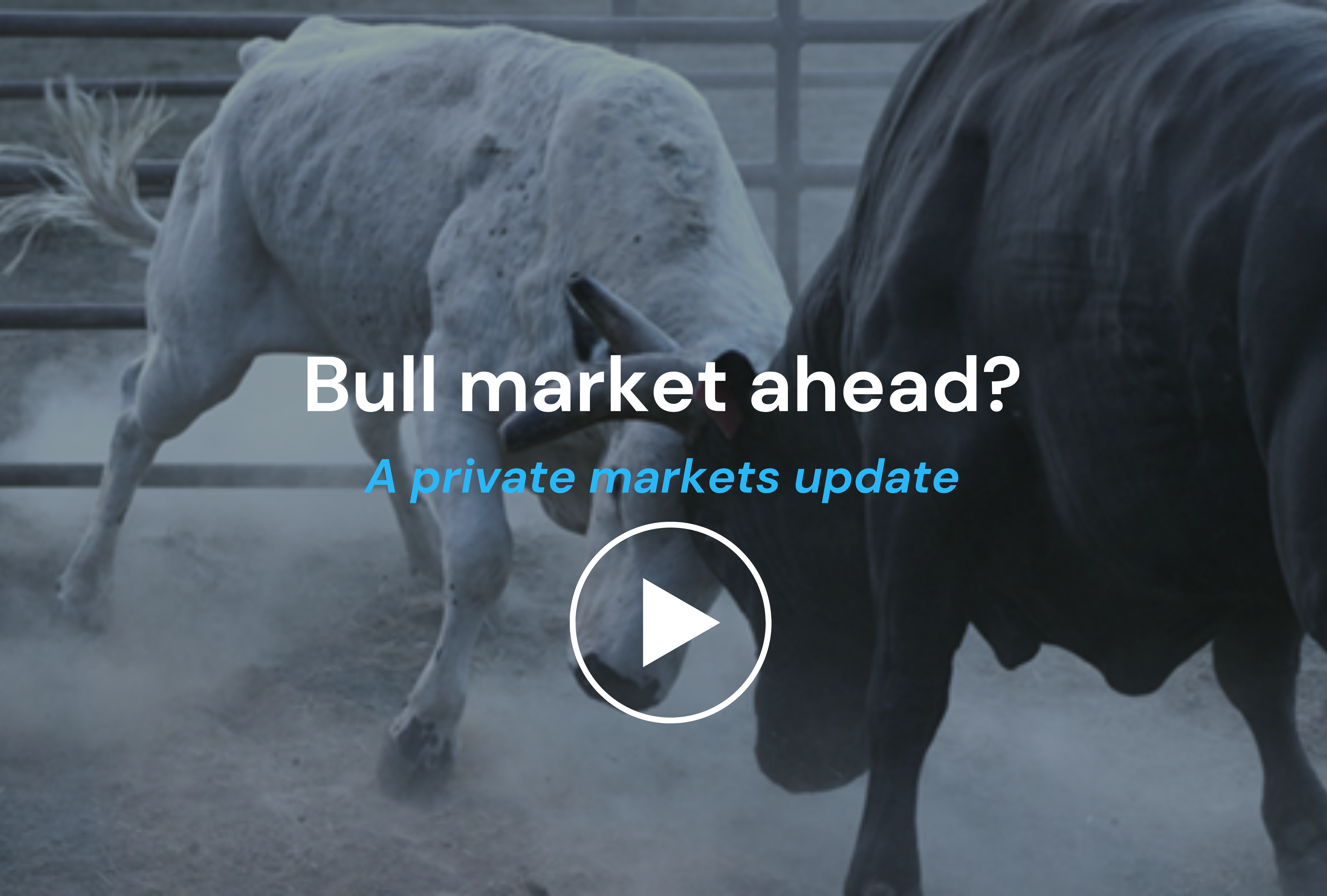 Webinar - a private markets update: Bull market ahead? When and what's next