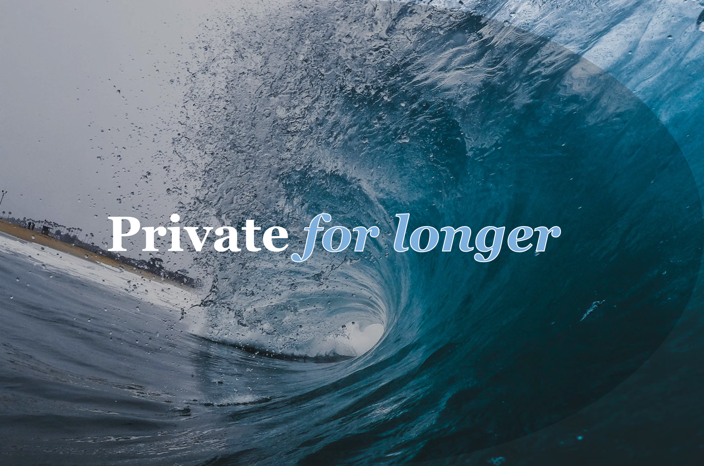 Bite Asset Management specialist article: Private for longer